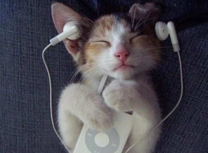 海外党都怎么听歌 海外党都怎么听歌