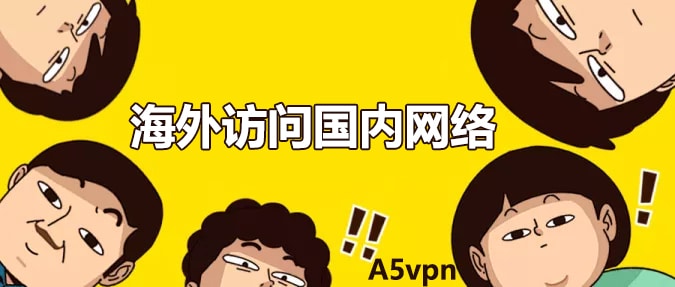 海外访问国内VPN