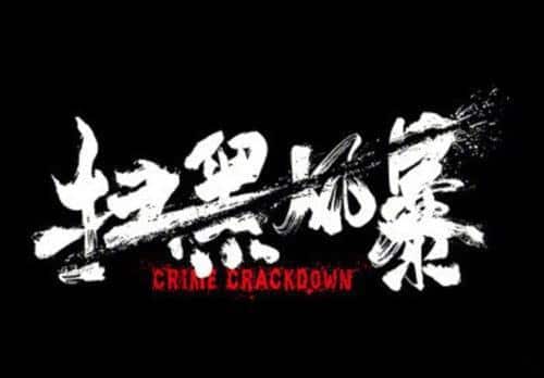 扫黑风暴海外怎么看