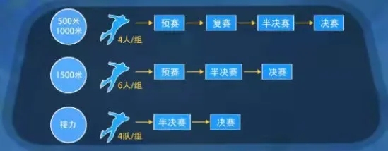 冬奥会短道速滑说明