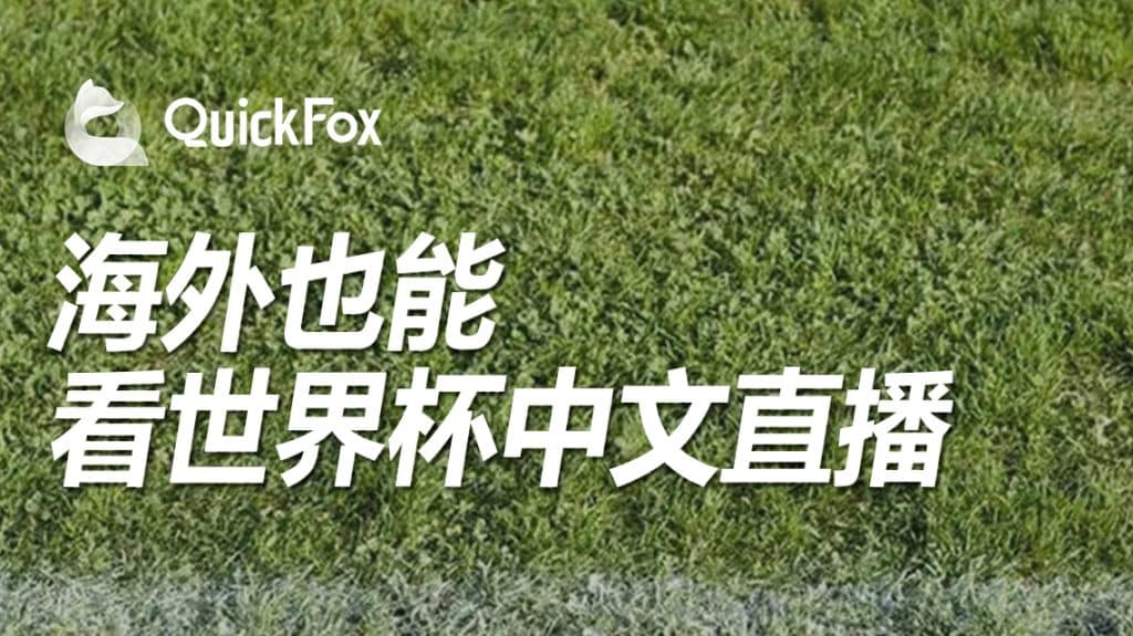 国外怎么看2022卡塔尔世界杯中文解说,QuickFox一键搞定世界杯看不了