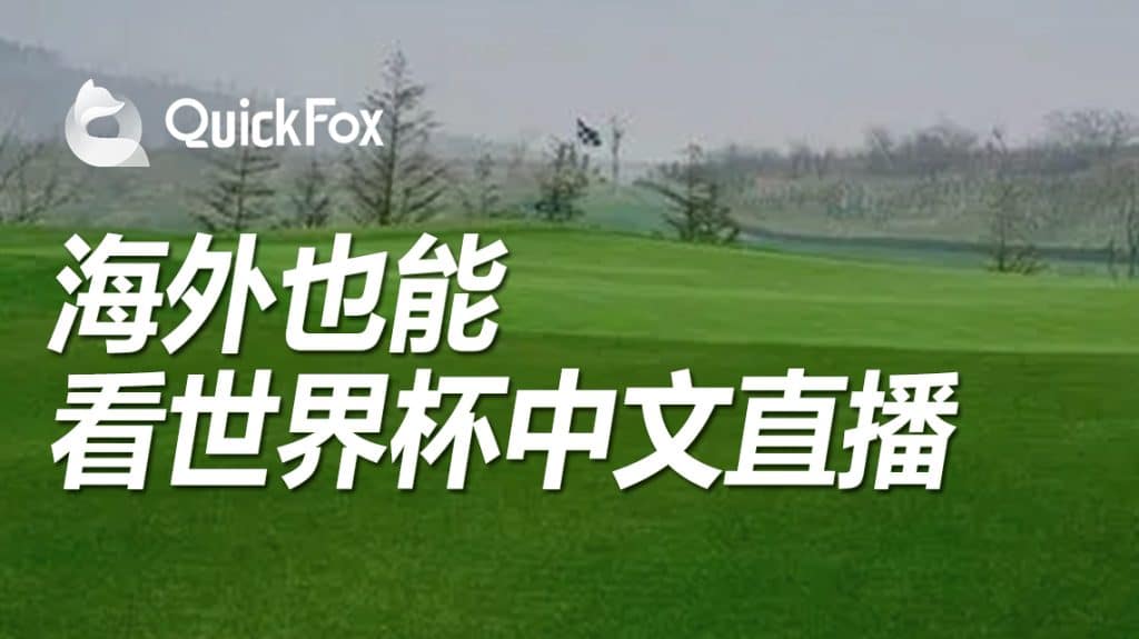 海外怎么看世界杯中文解说,QuickFox一招解锁世界杯看不了